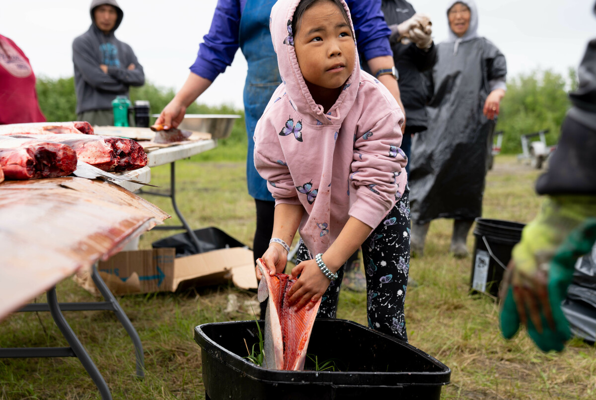 1693396423 547 An Alaska district aligns its school year to the harvests | mnfolkarts